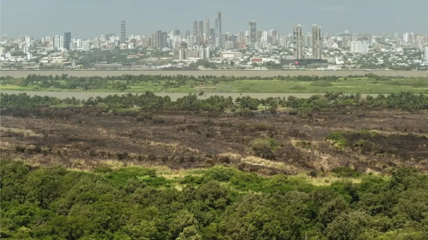 Controlan incendio forestal en el Vía Parque Isla de Salamanca 