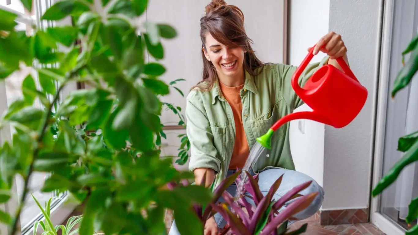 Plantas ornamentales