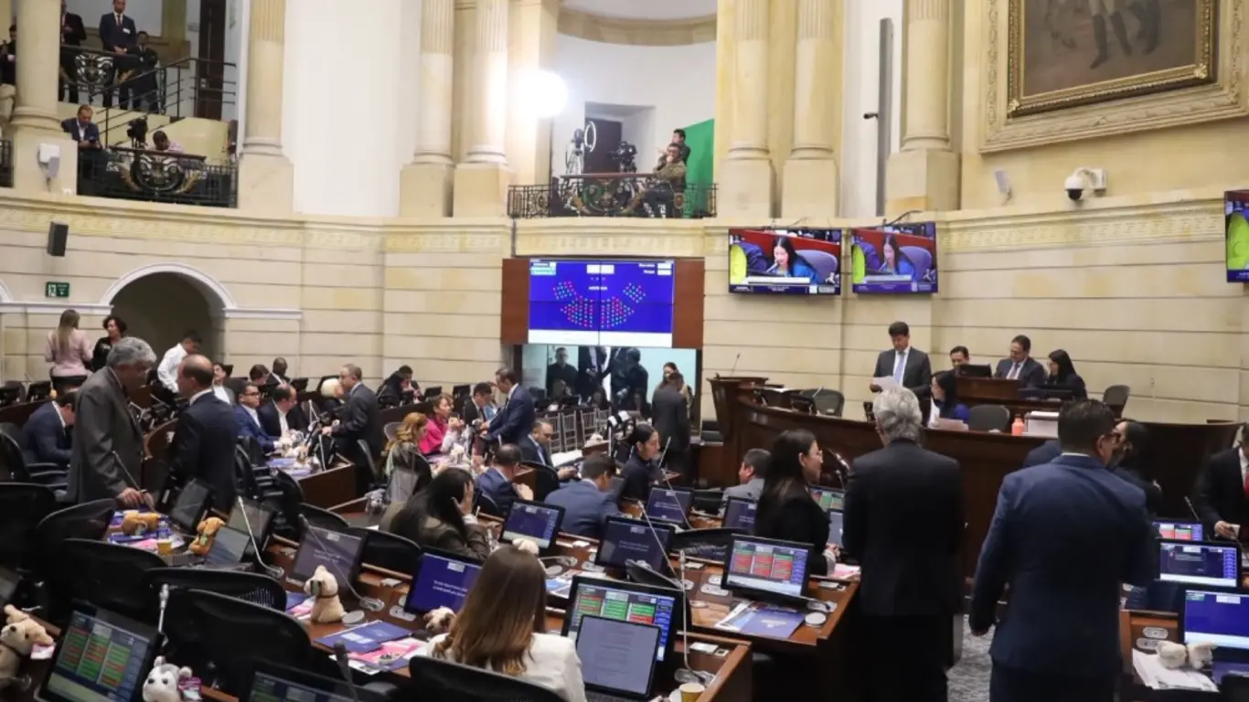 Senado II-2026