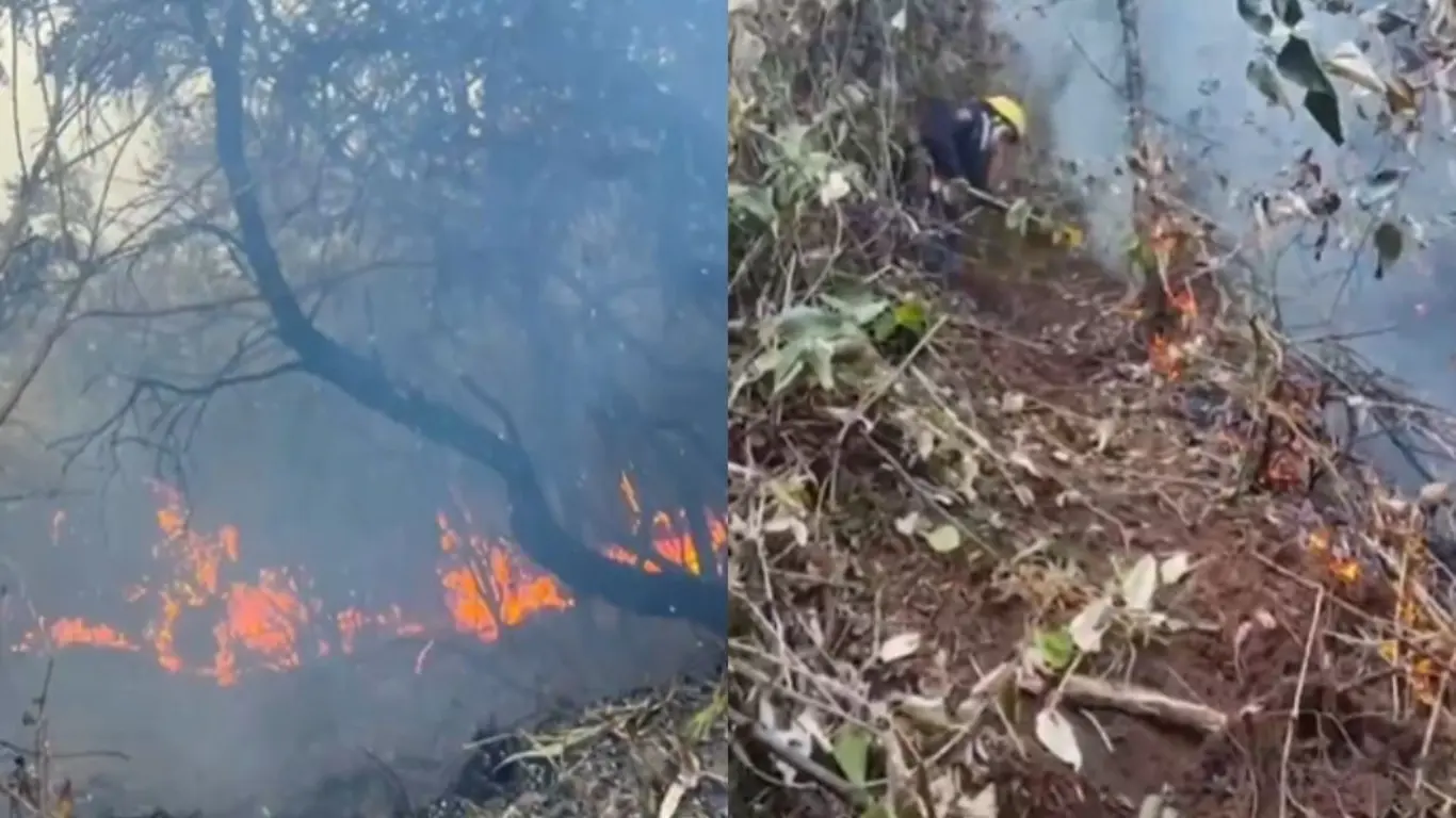 Incendio forestal en zona rural de Buga, Valle del Cauca