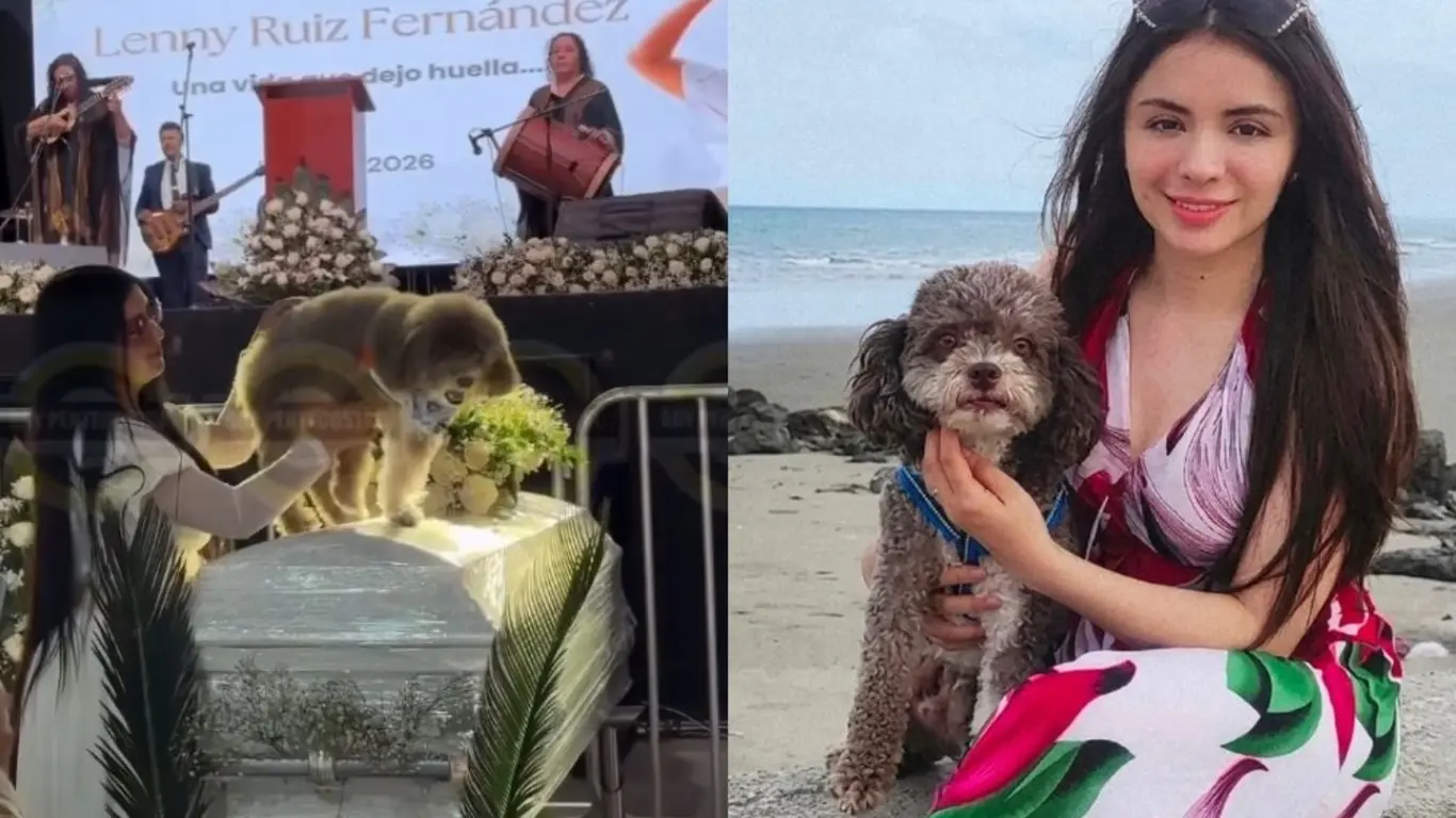 Llevaron a Salomón a las exequias de su dueña, la abogada amante de los animales que murió aferrada a él
