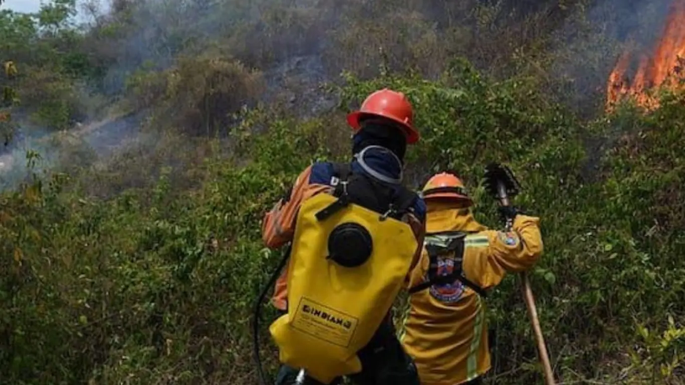 Incendios forestales en Tolima: 84 % han sido controlados y siete siguen activos Tolima mantiene siete incendios 