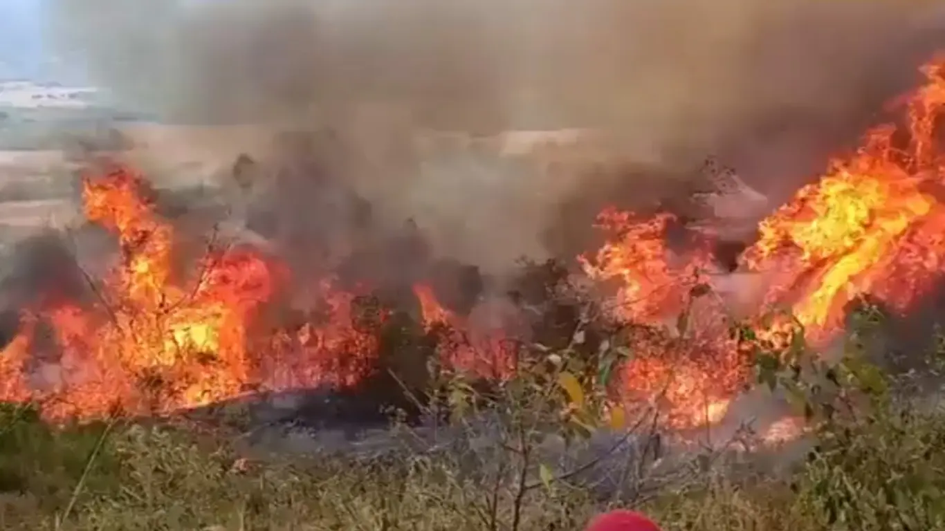Tolima incendios
