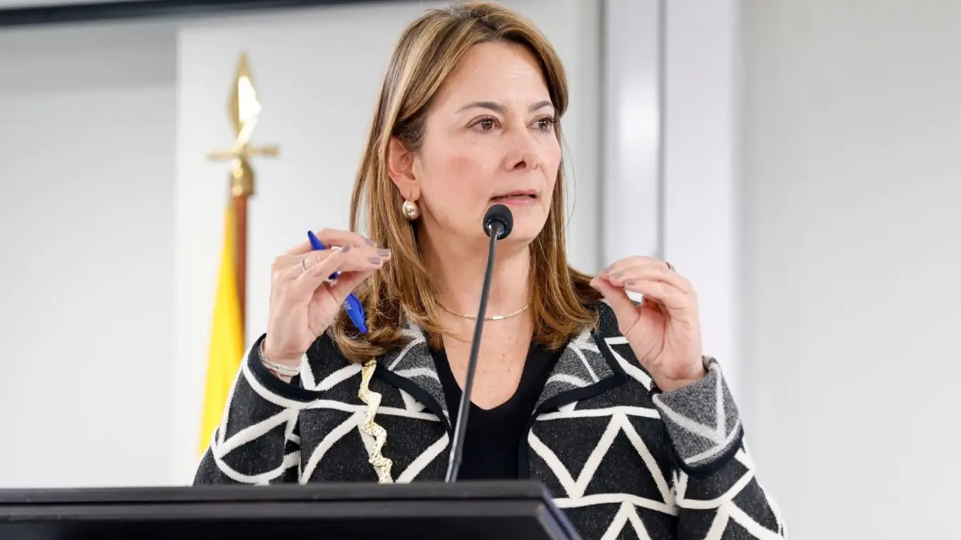Ana Maria ministra