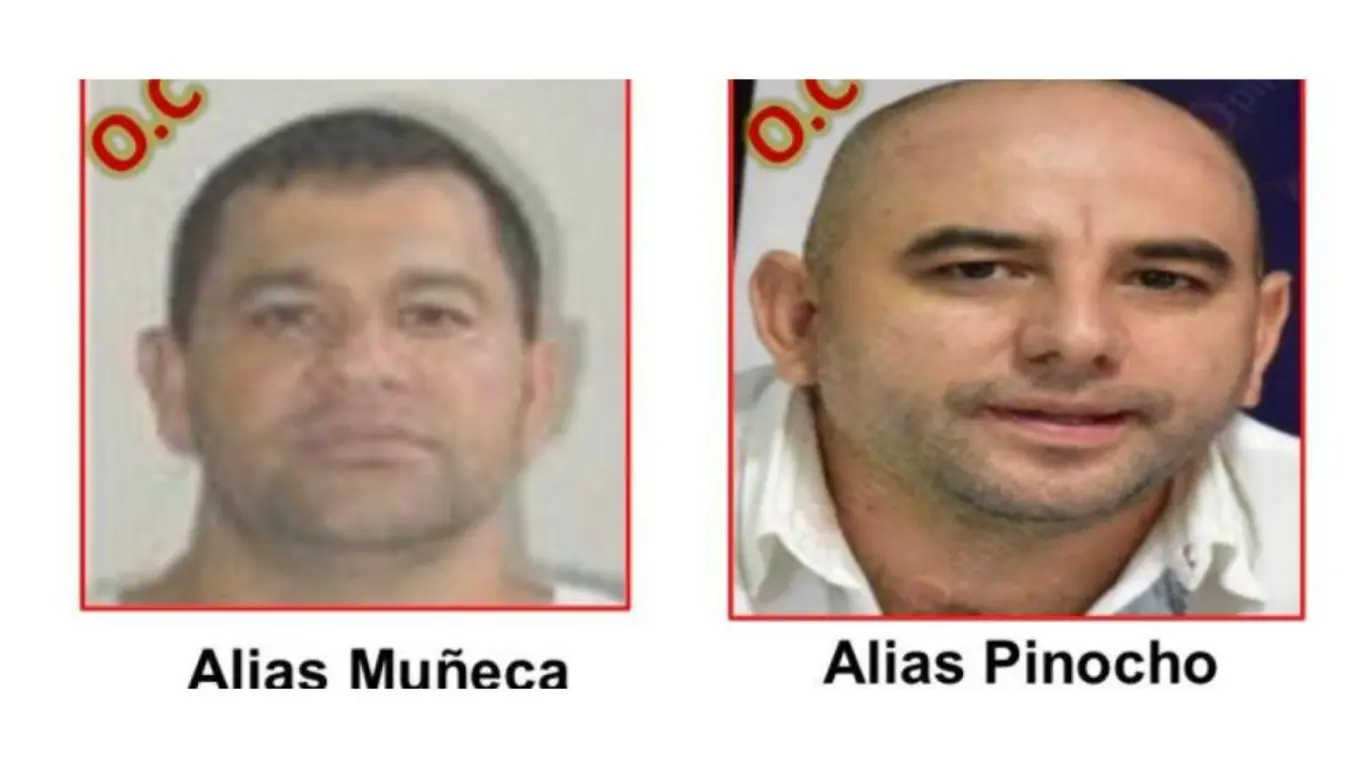 Alias 'Muñeca' y alias 'Pinocho' de las ACSN