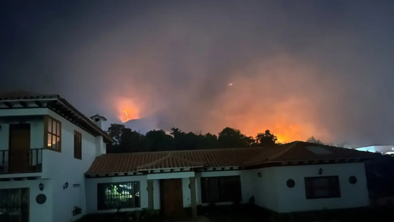 Villa Leyva llamas