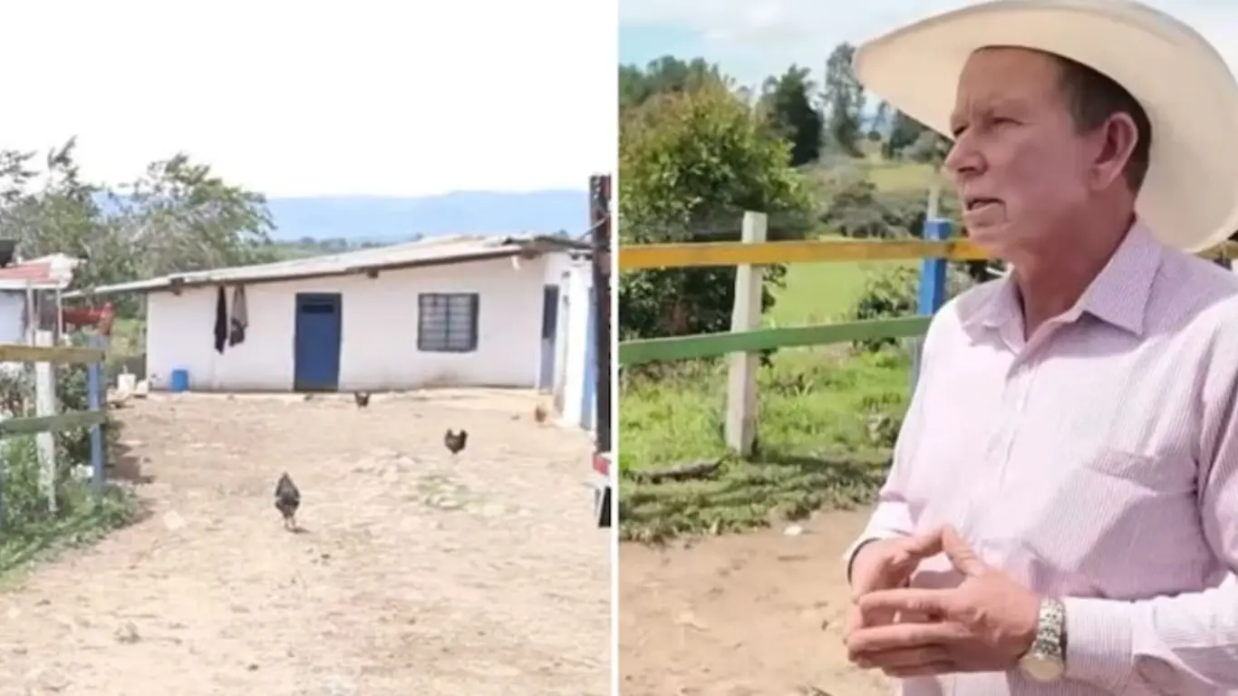 Nueve perros rescatados murieron en una finca 