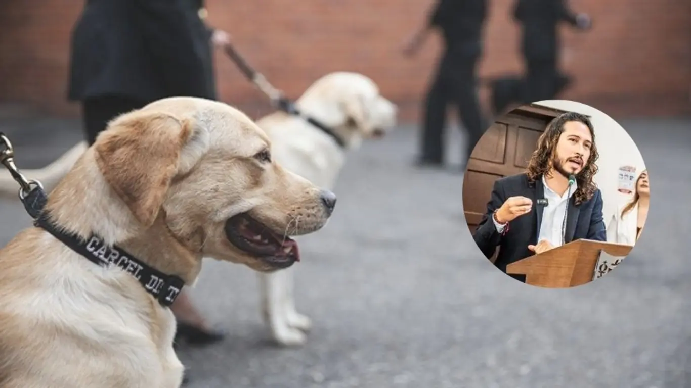 Concejal Julián Sastoque denuncia presunto sobrecosto en la compra de perros adiestrados para cárceles de Bogotá