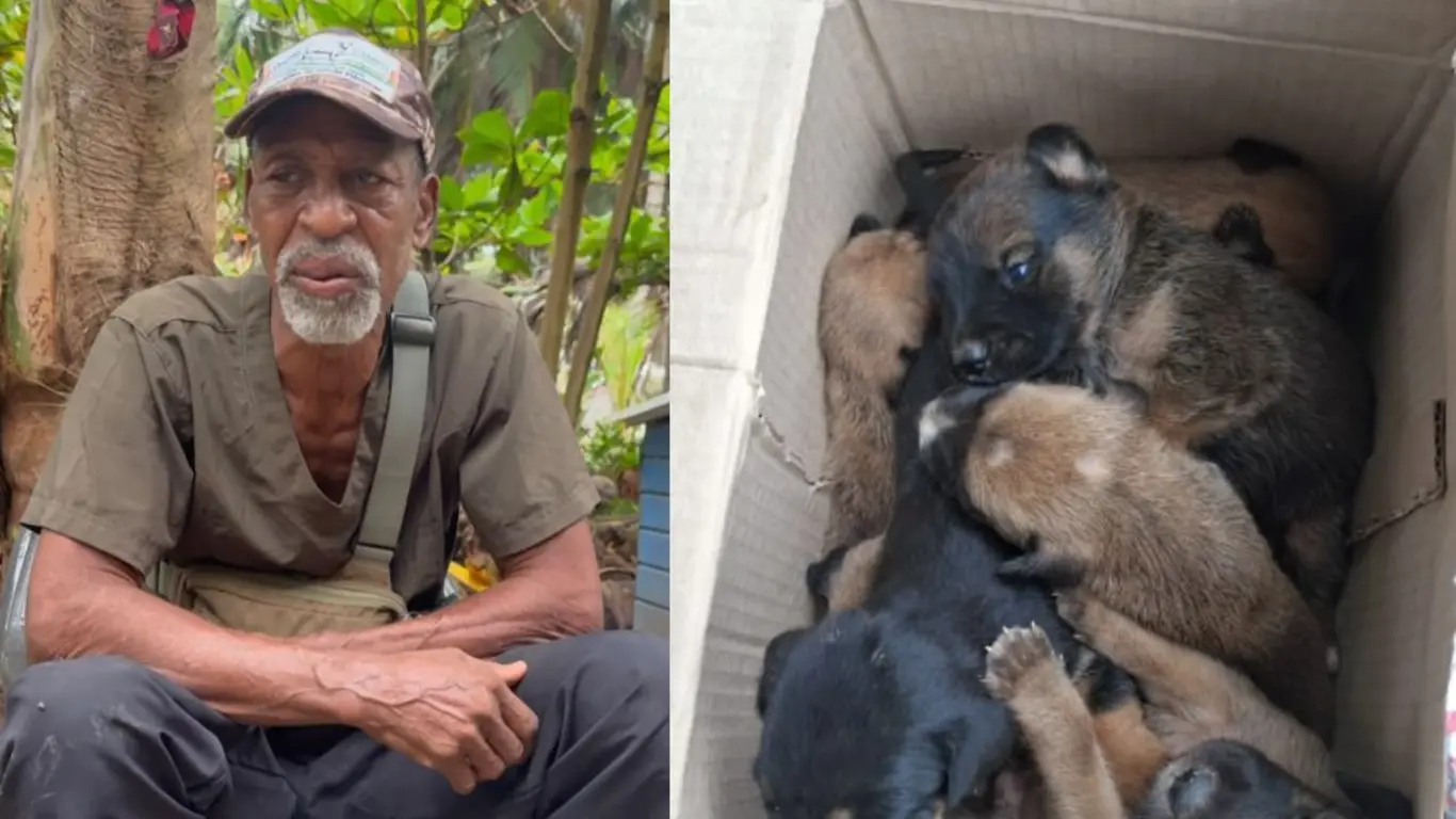 Habitante de San Andrés alerta sobre presuntas irregularidades en recursos y abandono de animales en la isla
