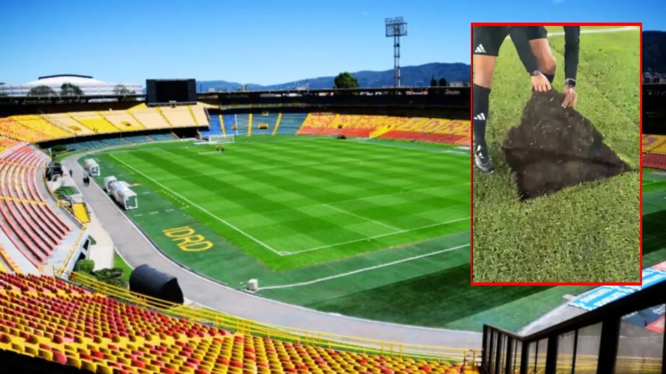 Estadio gramilla
