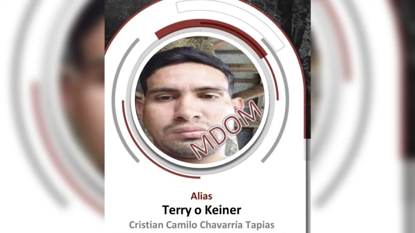 Alias Terry