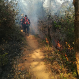 INCENDIO FORESTAL