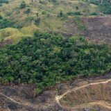 Deforestación Colombia