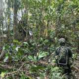 soldado en la selva