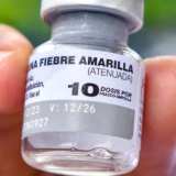 aumentan casos fiebre amarilla