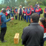 abejas con la conservacion
