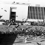 Toma del Palacio de Justicia 25