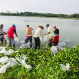 La Aunap lideró en Tenerife una jornada de repoblamiento con la siembra de 500.000 alevinos de bocachico