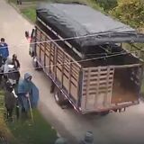 Presunta invasión violenta de varias fincas dedicadas a la producción lechera 