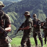 Disidencias de las Farc 2626