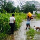 El programa contempla refinanciación de deudas, nuevos créditos y subsidios para apoyar la recuperación de cultivos e infraestructura agropecuaria afectada por las lluvias.