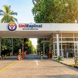 Uniespinal
