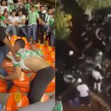 Hinchas verdes