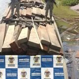 incautan madera ilegal en chocó