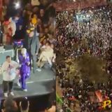 Vándalo Hippies