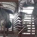 vaca atravesada con flechas