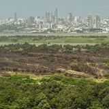 Controlan incendio forestal en el Vía Parque Isla de Salamanca 