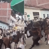 Muerte de caballo durante cabalgata en Villanueva, Santander