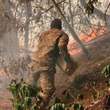 Incendio forestal en la vereda La Peña, de Abejorral, Antioquia