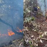 Incendio forestal en zona rural de Buga, Valle del Cauca