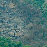 Deforestación en Colombia 26