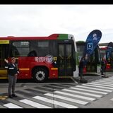 Nuevos buses TM