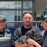 Pato, el perro robado durante un asalto en la localidad de Suba de Bogotá volvió con su familia