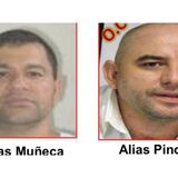 Alias 'Muñeca' y alias 'Pinocho' de las ACSN