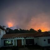 Villa Leyva llamas