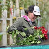 Floricultura colombiana
