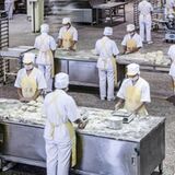 Alimentos ganancias empresas
