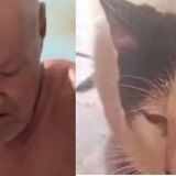 Caso de presunto abuso sexual contra un felino en Puerto Wilches genera consternación; autoridades rescataron 24 animales
