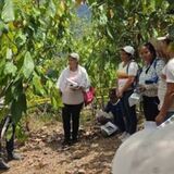Colombia le apuesta al agroturismo para aumentar los ingresos de los campesinos