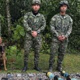 Ejército frustra atentado en Cajibío, Cauca: destruyó depósito con 33 explosivos atribuidos a 'Mordisco'