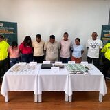 Familia oro 
